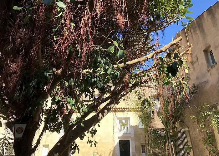 Ortigia 3*